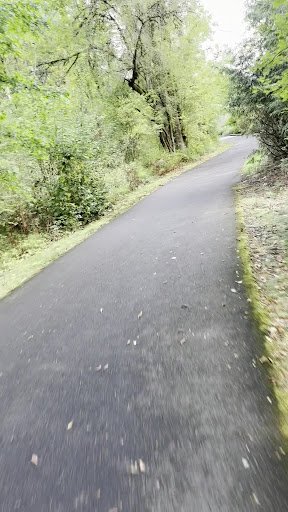 Photo from customer review