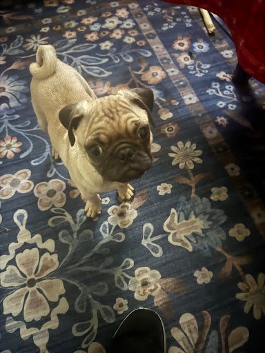 Photo from customer review