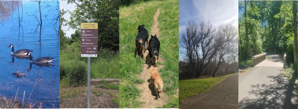 Fanno-Creek-Greenway- pethotelbooking
