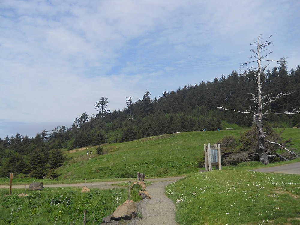 ecola-state-park-pethotelbooking