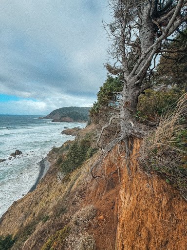 Photo from customer review