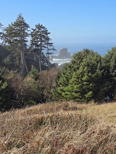 Photo from customer review