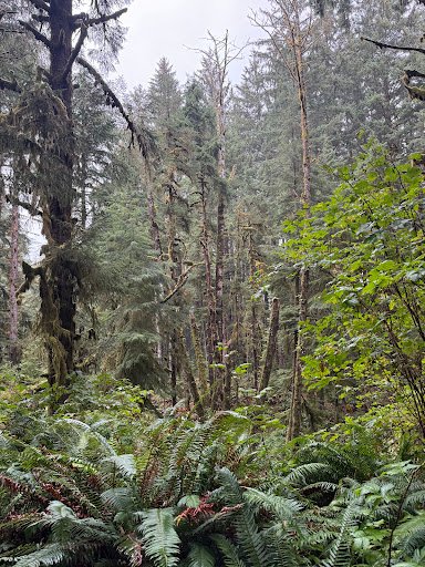 Photo from customer review