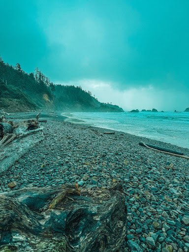 Photo from customer review