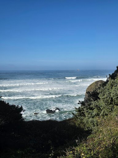 Photo from customer review