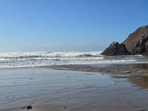 Photo from customer review