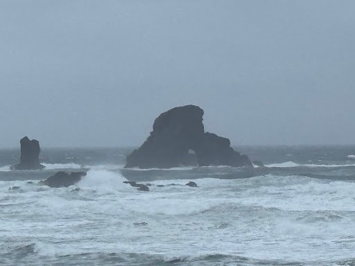 Photo from customer review