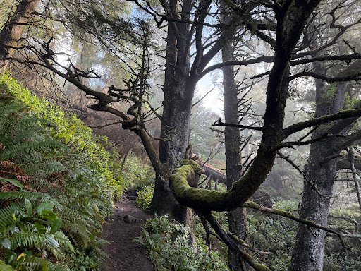 Photo from customer review