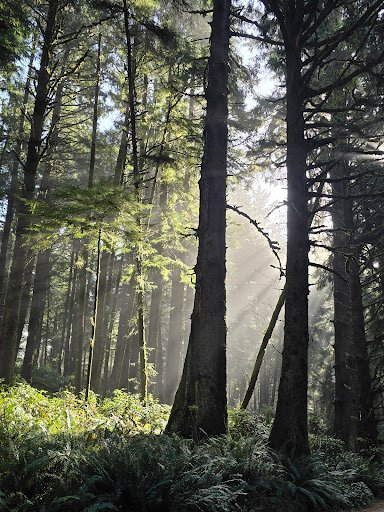 Photo from customer review