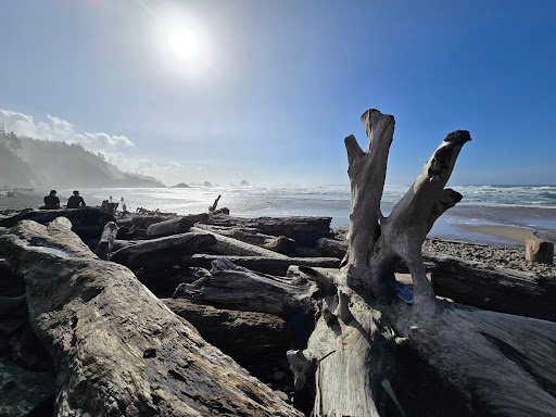 Photo from customer review