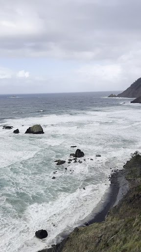 Photo from customer review