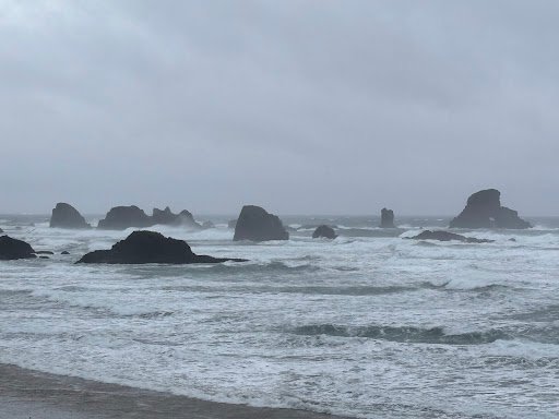 Photo from customer review