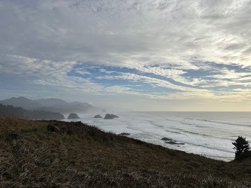 Photo from customer review