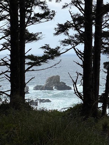 Photo from customer review