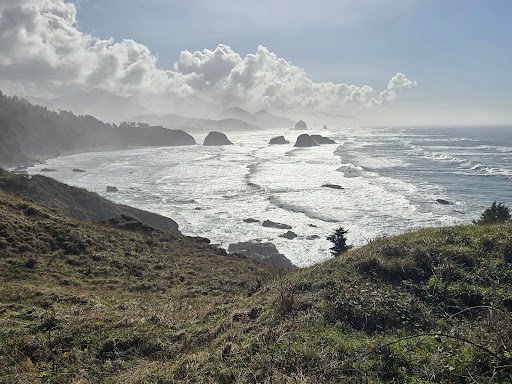 Photo from customer review