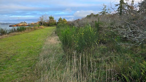 Photo from customer review