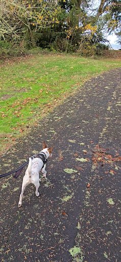 Photo from customer review