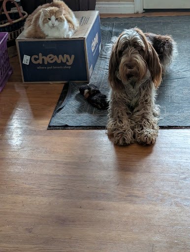 Photo from customer review