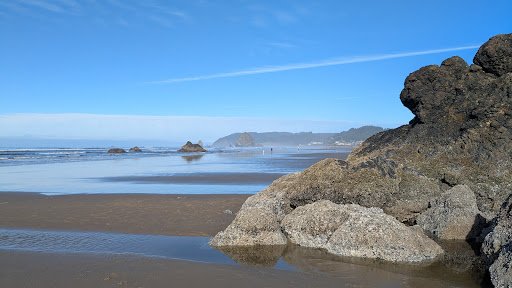 Photo from customer review