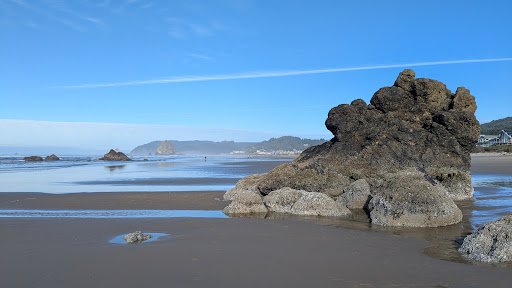 Photo from customer review