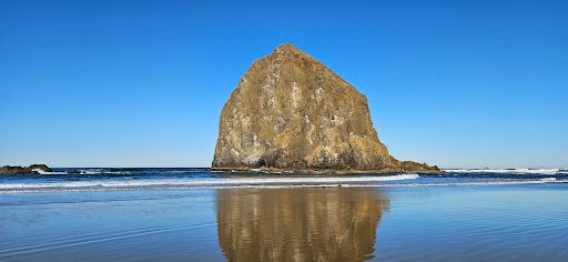 Photo from customer review