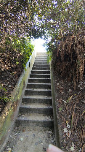 Photo from customer review