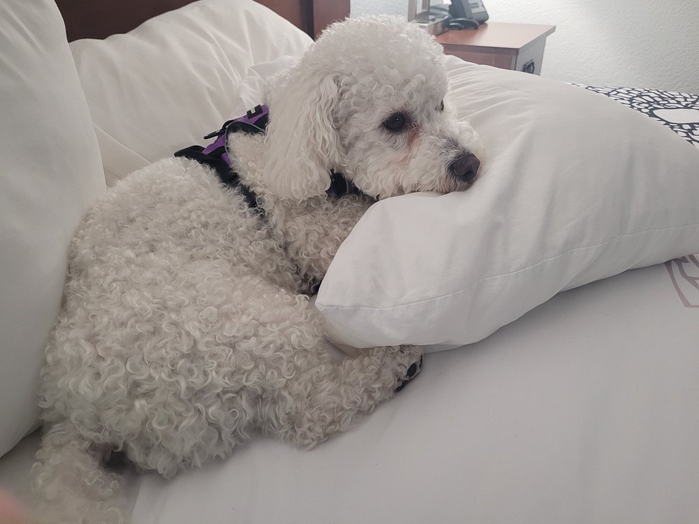 La Quinta Inn by Wyndham