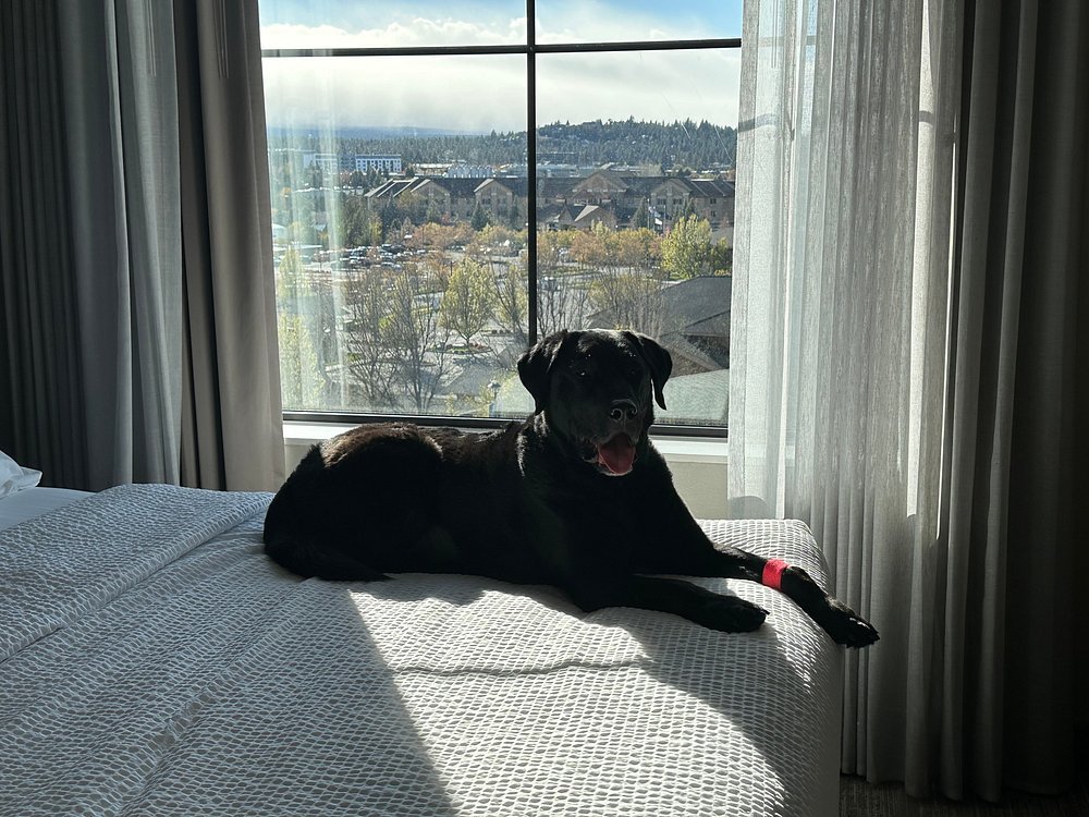 Residence Inn by Marriott