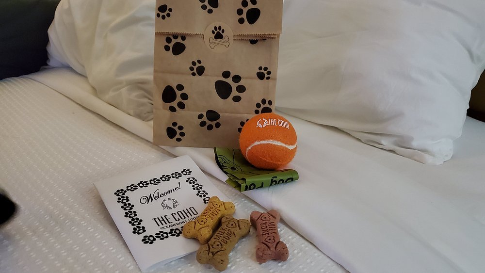 The Coho Oceanfront Lodge