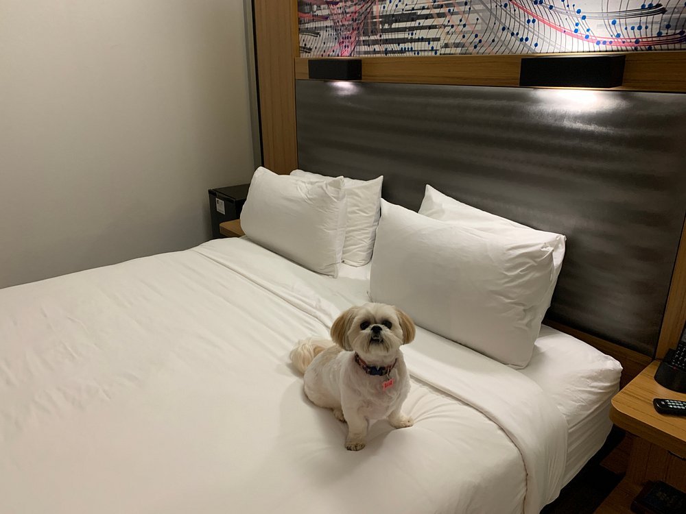 Aloft Jacksonville Tapestry Park