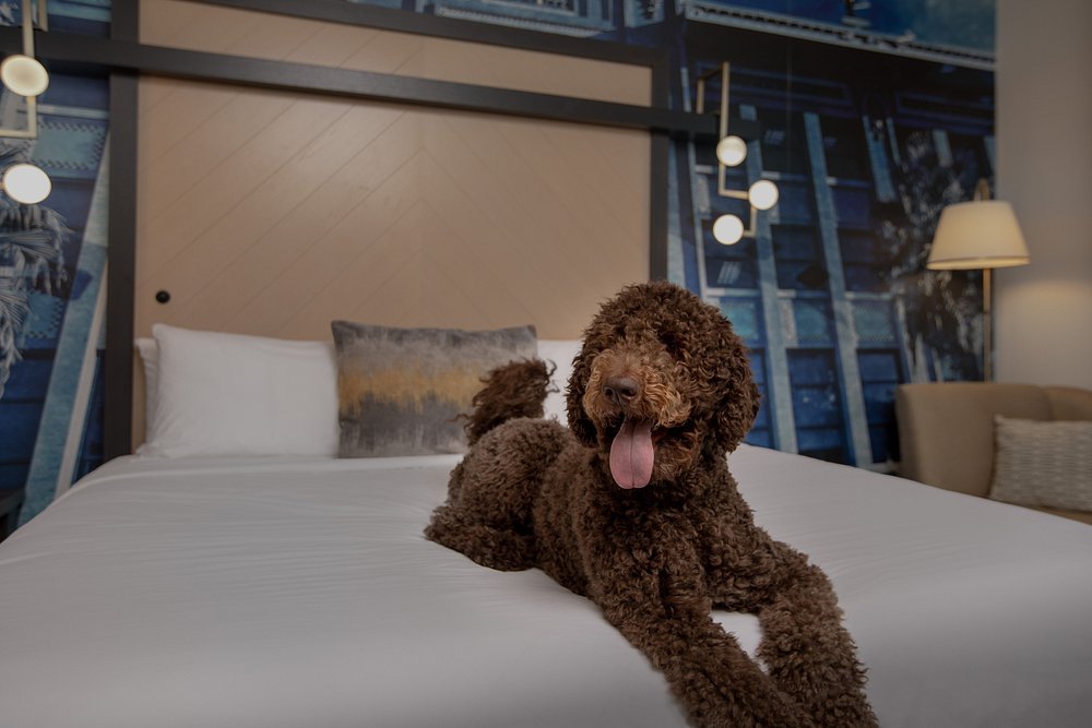 Hotel Indigo Jacksonville-Deerwood Park by IHG