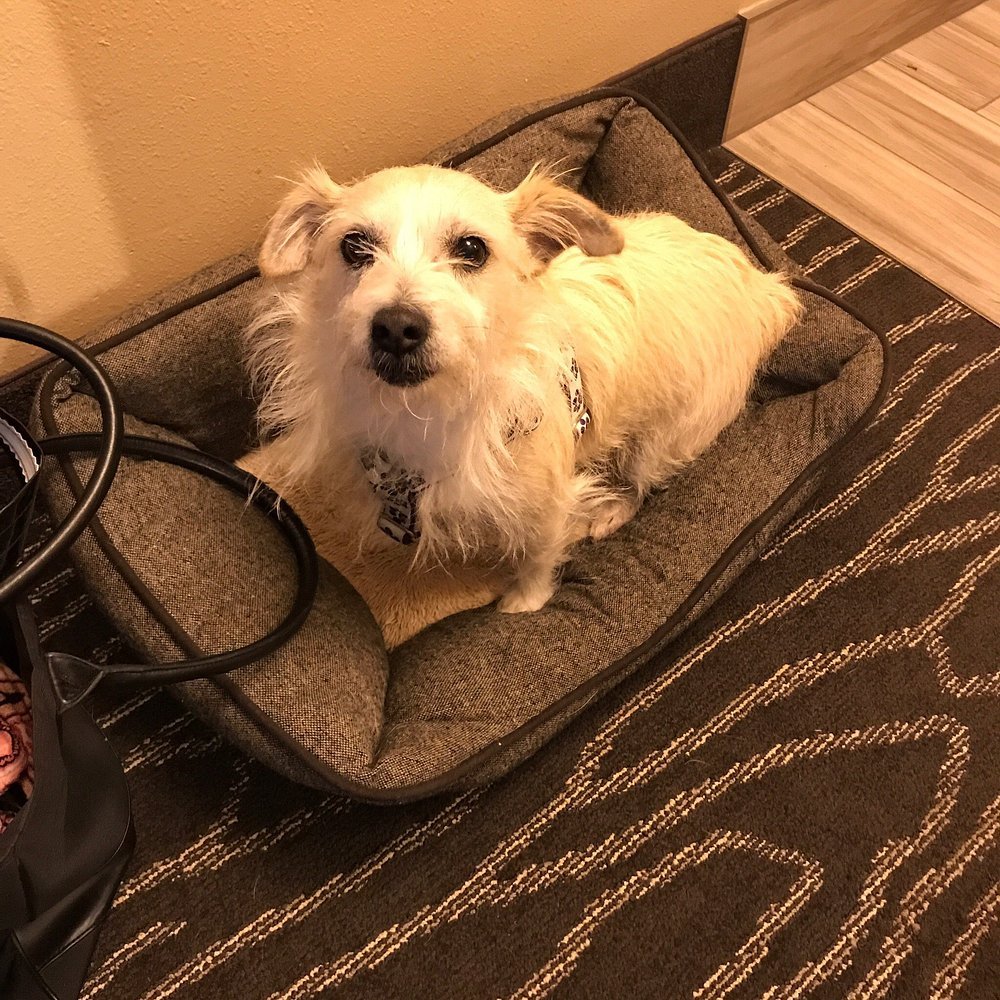 La Quinta Inn & Suites by Wyndham Eugene