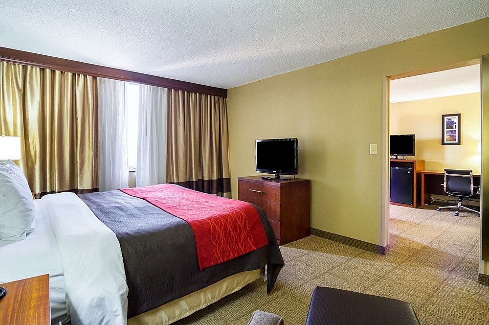 Comfort Inn Downtown