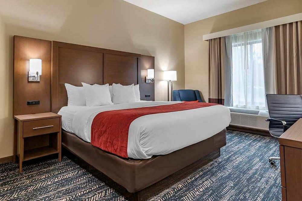 Comfort Inn & Suites Downtown Near University