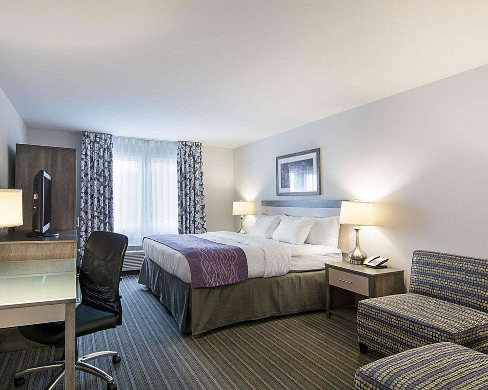 Comfort Inn Williamsburg Gateway