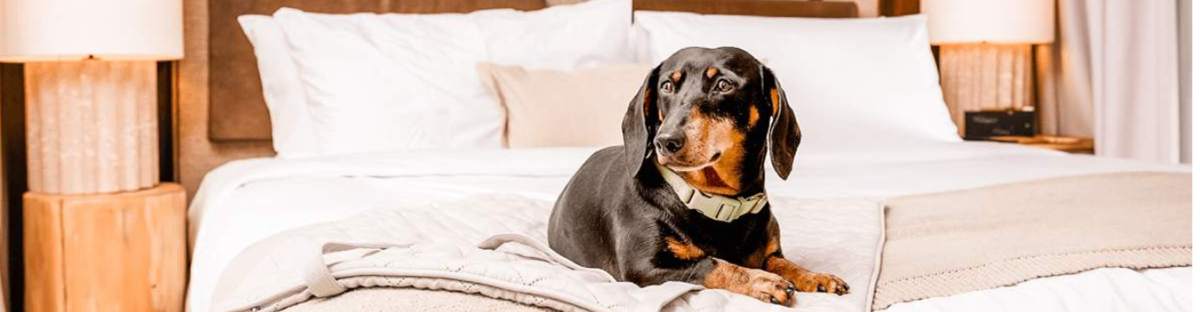 pet-friendly hotels in dubuque