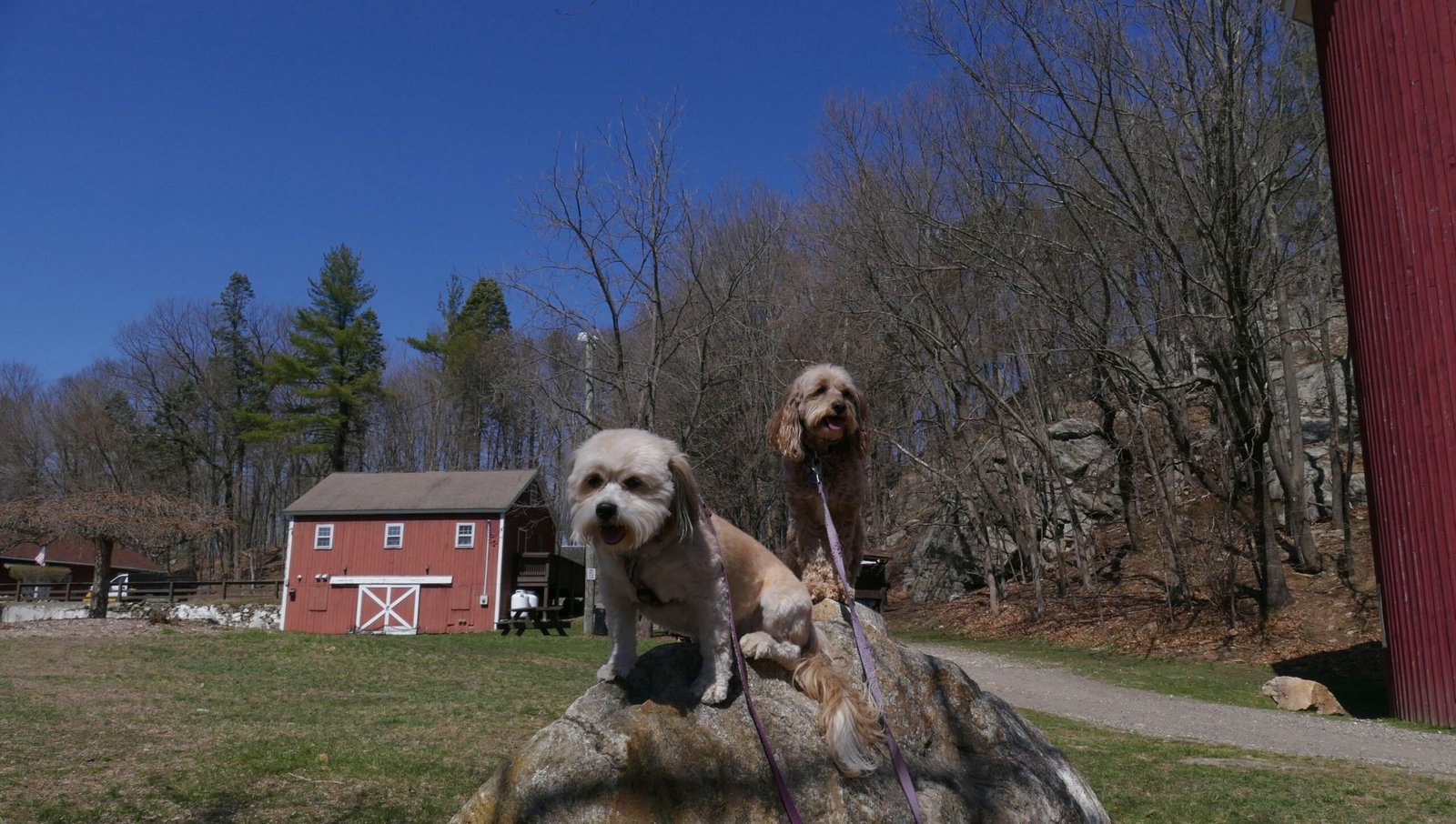 Danbury Connecticut