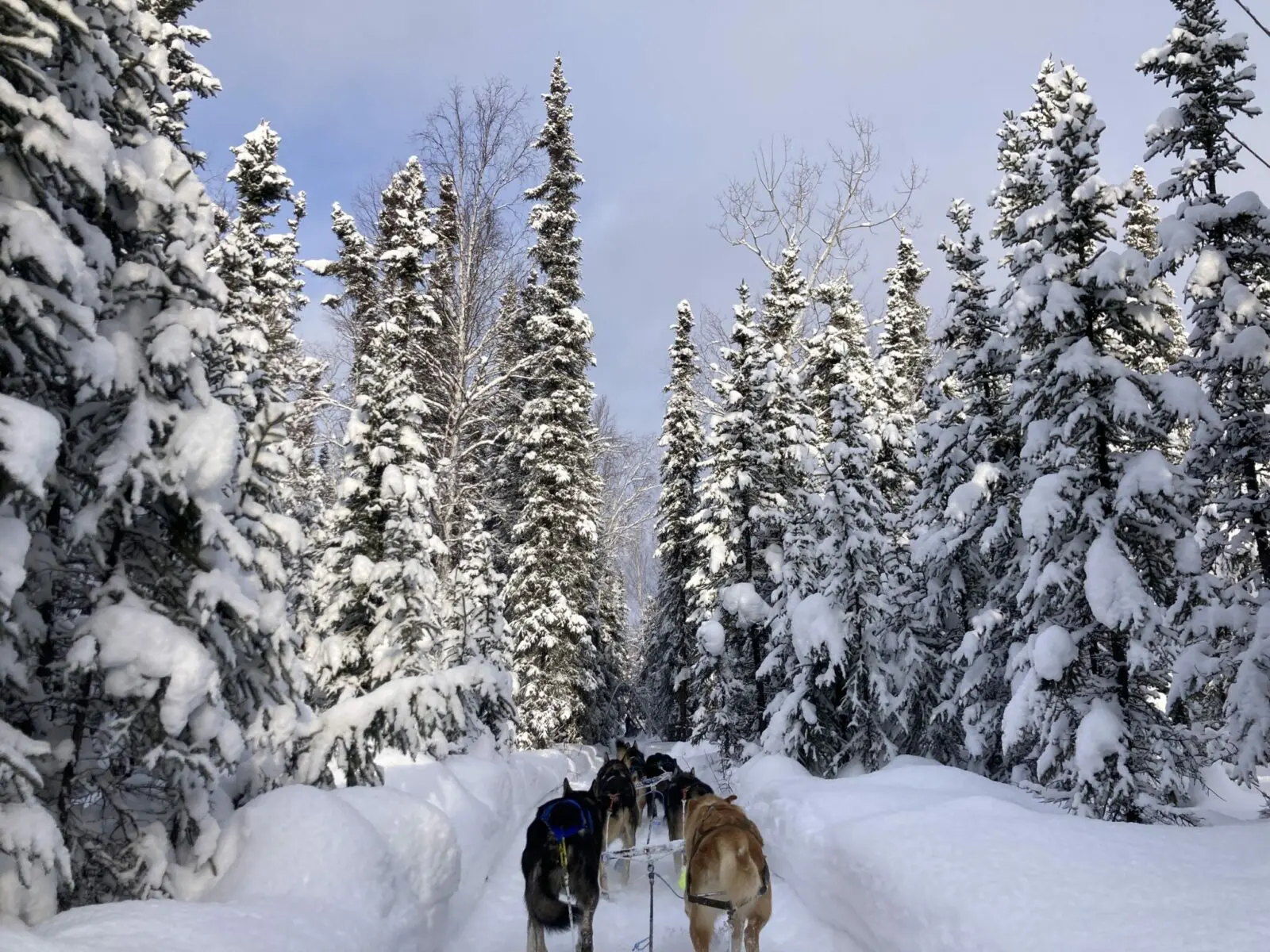 Fairbanks Alaska
