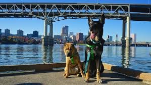 Portland Oregon