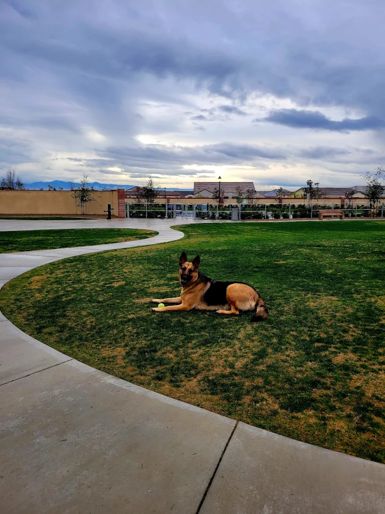 Bakersfield California