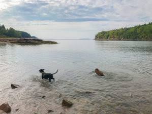 Bar Harbor Maine