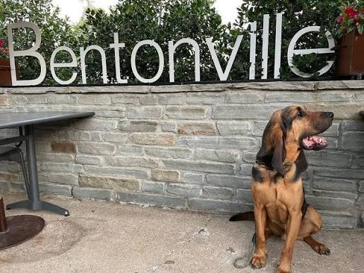 Bentonville Arkansas