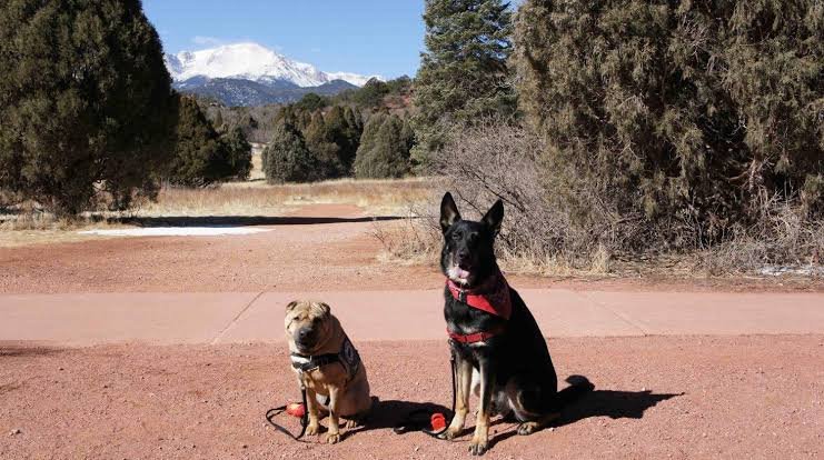 Pet-Friendly Hotels in Oklahoma