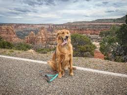 Grand Junction Colorado