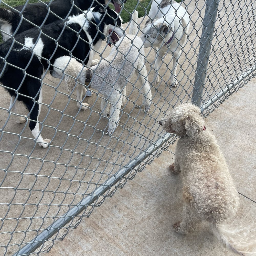 Norman Oklahoma