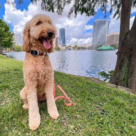 Orlando Florida