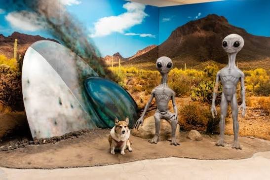 Roswell New Mexico