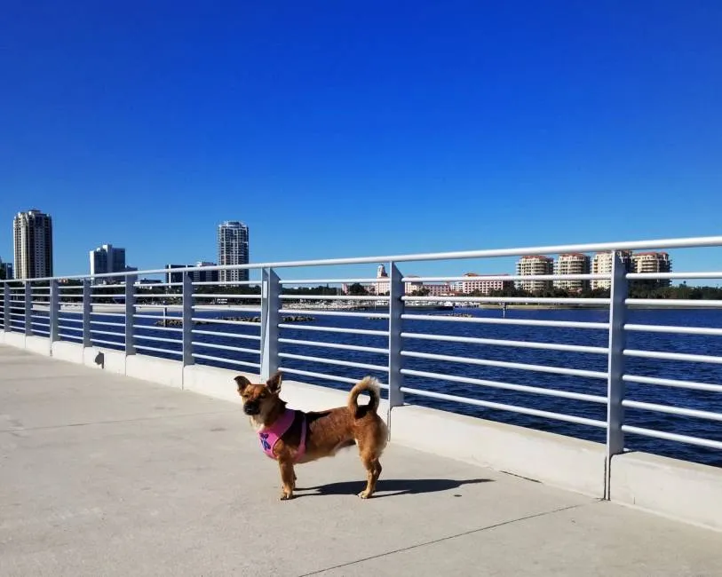 St. Petersburg Florida