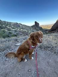 Phoenix Arizona