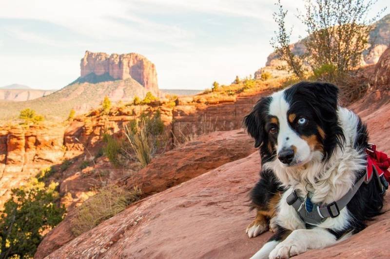 Sedona Arizona
